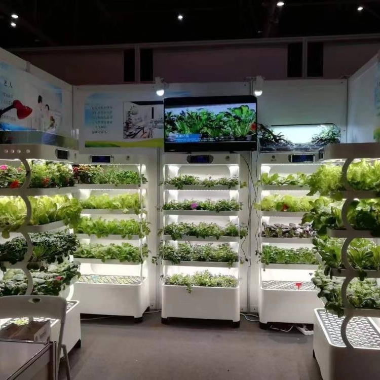 Intelligent Hydroponic Growing - đánh giá và giá Smart Home Uses