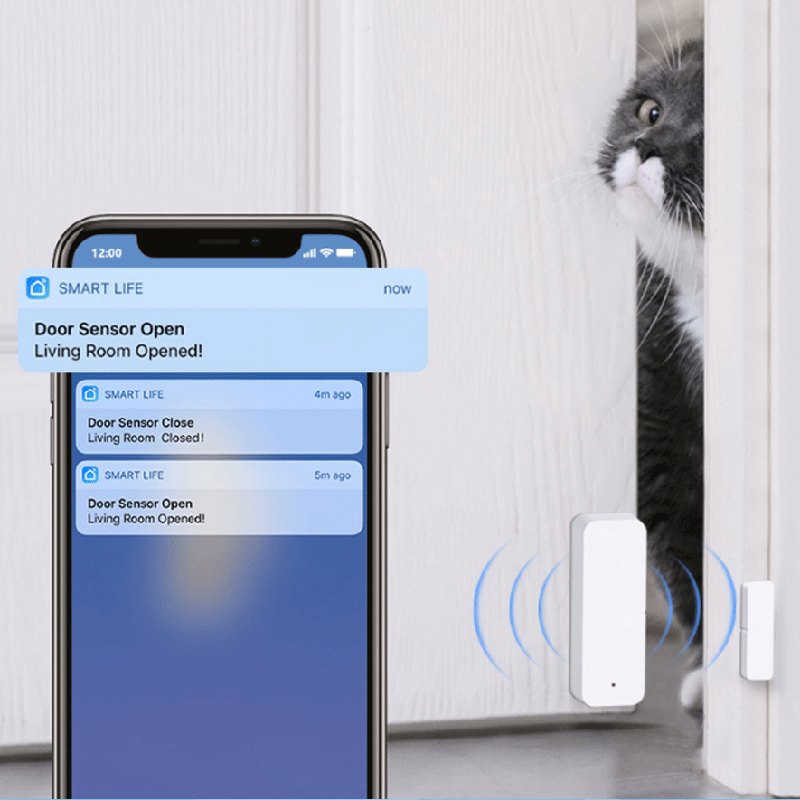 Tuya WiFi Zigbee Door Window S - đánh giá và giá Smart Home Internet