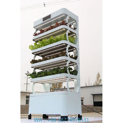 arming Home Hydroponic Growing - đánh giá và giá Smart Home Uses