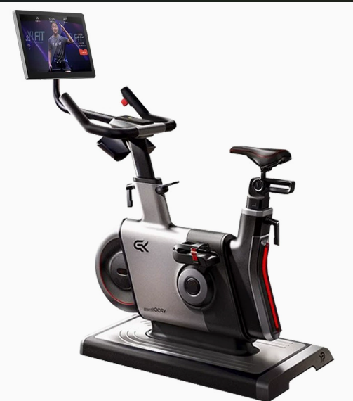 Steel for Bike LCD Display Mag - đánh giá và giá Smart Home Uses