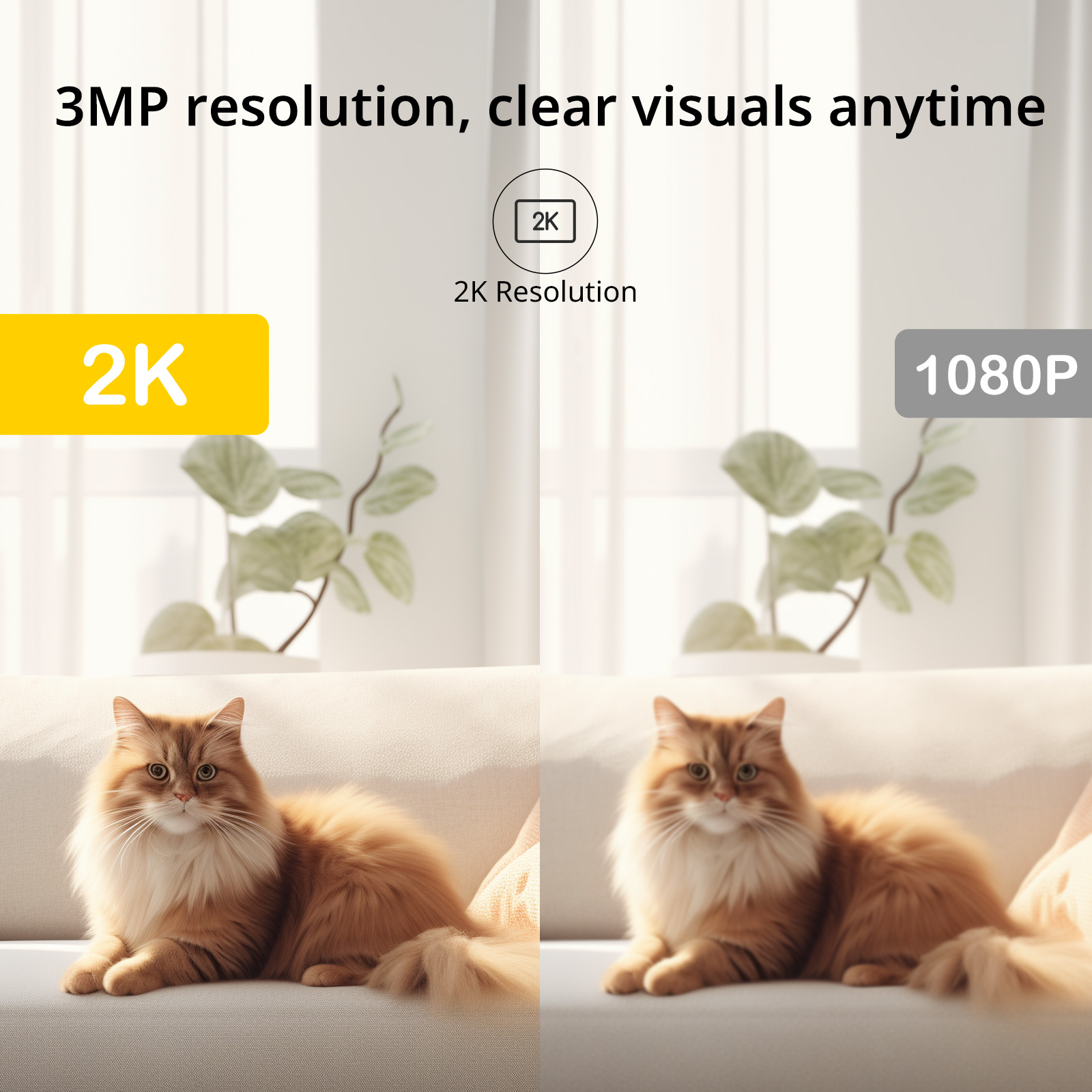 BoyKeep Surveillance Camera 3M - đánh giá và giá Smart Home Cctv Camera